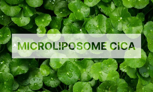 Microliposome Cica: The Revolutionary Ingredient That's Transforming Skincare Routines